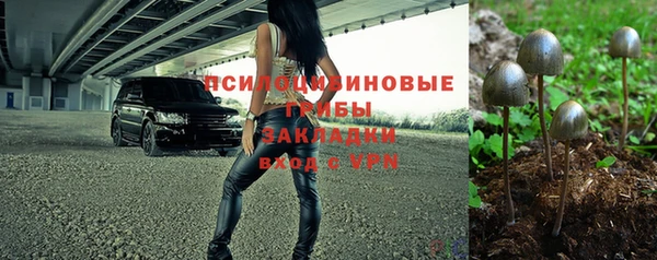 мет Алексин