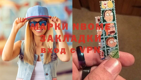 мет Алексин