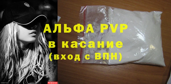 мет Алексин