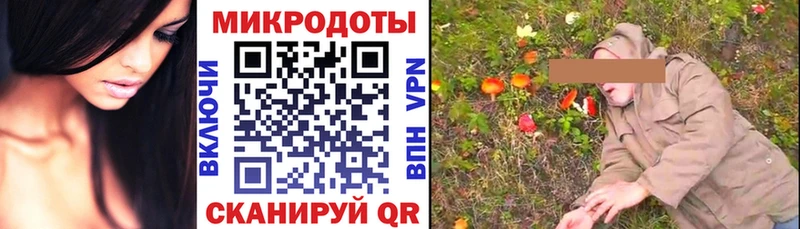 Псилоцибиновые грибы Cubensis  kraken как зайти  Добрянка 